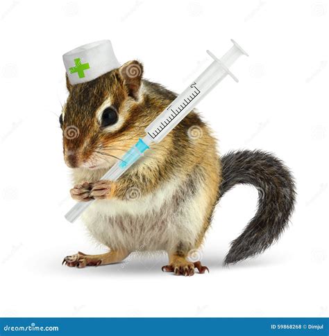 The Role of Doctors in the Lives of Chipmunks